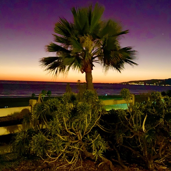 Meet your Posher, Matteo - Picture 1 of 1